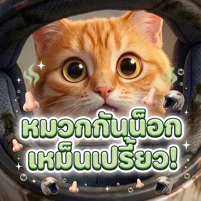 อวสานหมวกเหม็นเปรี้ยว!